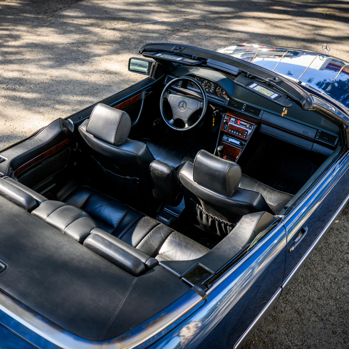 Back in Time gallery photo 2