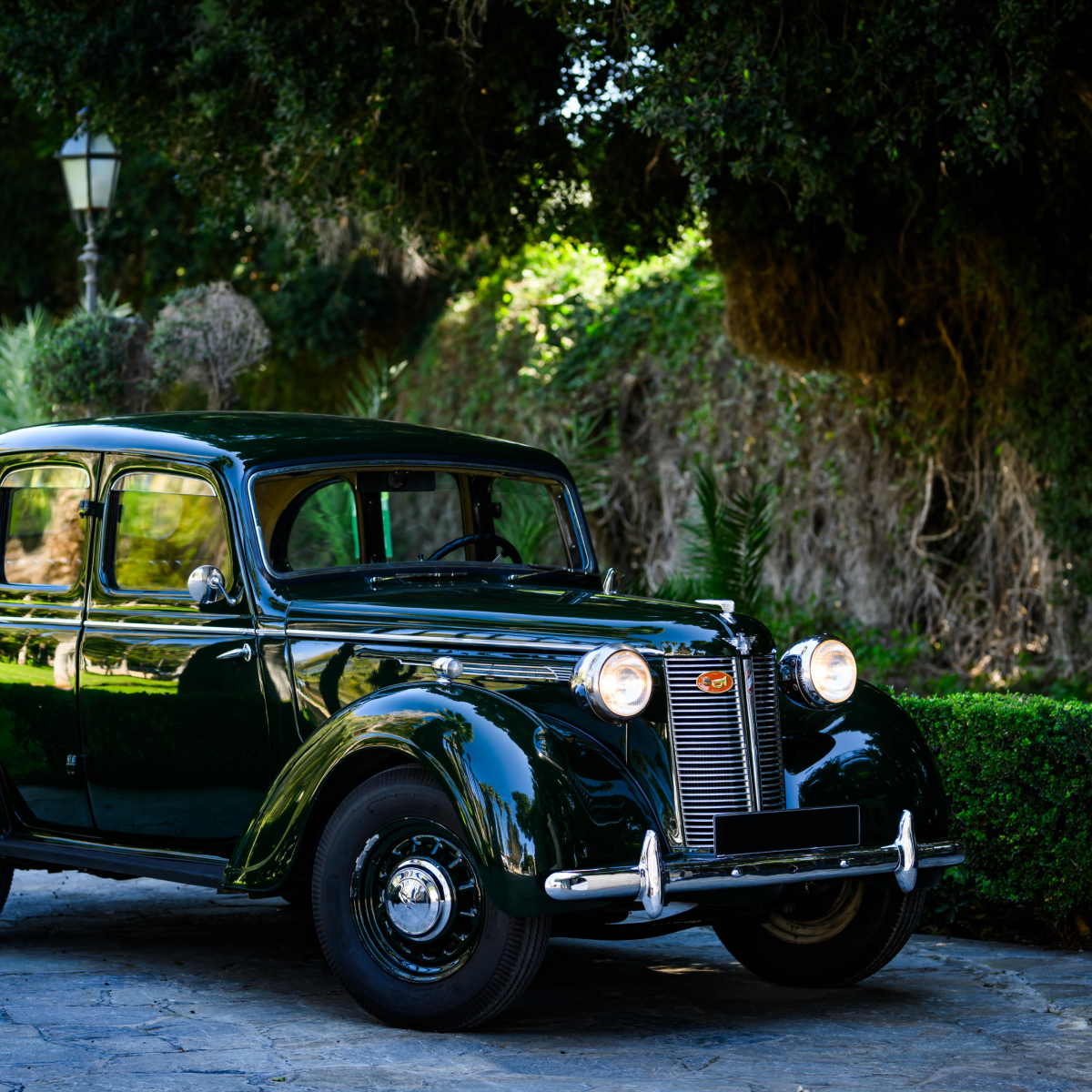 Back in Time gallery photo 3